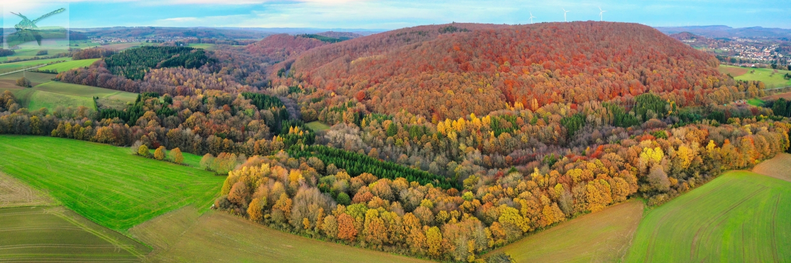 23Nov19-bei Gronig-Pan548